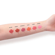 IMAGIC PROfessional Cosmetic Touch Blush Palette 6 Color 80g