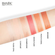 IMAGIC PROfessional 6 Color Highlight & Blush & Contour Palette (FA-126) 24g