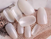 Shills Professional 500 Pcs Round Tips Natural