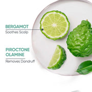 Biolage Professional Scalppure Anti-Dandruff Conditioner, Removes Visible Flakes from 1st Use, Enriched with Bergamot, Conditioner for Men and Women, Deep Scalp Treatment, Cruelty-Free, 98g.