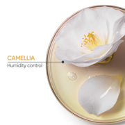 Matrix Biolage Professional Smoothproof Anti-Frizz Shampoo for Women and Men, Up to 72HR Frizz Control, With Camellia Flowers, Shampoo for Dry and Frizzy Hair, Vegan & Cruelty-Free, 400ml