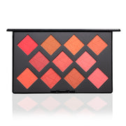 PAC Take Cover Blusher X11 (3.2 gm)