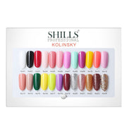 Shills Professional painting colour gel 24pcs set