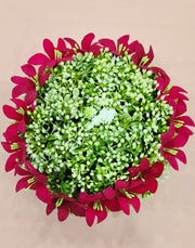 HAIR ACCESSORIES  FLOWER HAIR JUDA A65507 A