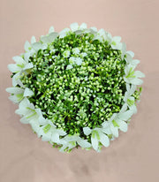 HAIR ACCESSORIES  FLOWER HAIR JUDA A65507 A