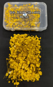 HAIR ACCESSORIES-BS-ZIPASHI-BOX