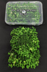 HAIR ACCESSORIES-BS-ZIPASHI-BOX