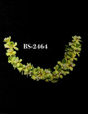 HAIR ACCESSORIES-BS-2464