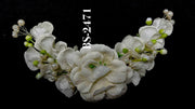 HAIR ACCESSORIES-BS-2471