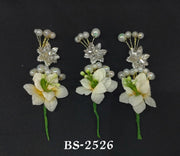 HAIR ACCESSORIES  BS 2526