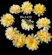HAIR ACCESSORIES-BS-2422 PIN