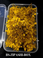 HAIR ACCESSORIES-BS-ZIPASHI-BOX