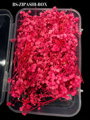 HAIR ACCESSORIES-BS-ZIPASHI-BOX