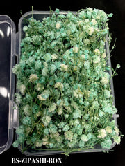 HAIR ACCESSORIES-BS-ZIPASHI-BOX