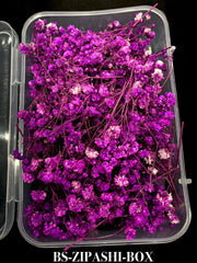 HAIR ACCESSORIES-BS-ZIPASHI-BOX