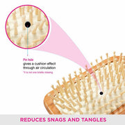 VEGA Paddle Brush - E2-PBB